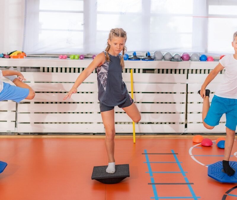 vestibular input and autism